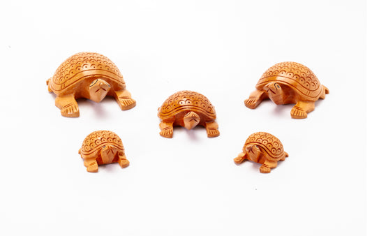 Tortoise - 5pc Set
